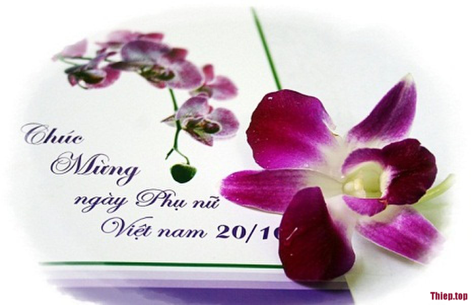 Top hình ảnh chúc mừng 20/10 ngày Phụ nữ Việt Nam miễn phí - Hình 13
